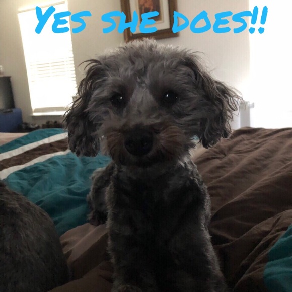 Reasonable offers considered..no lowballs offers!! - Picture 2 of 6